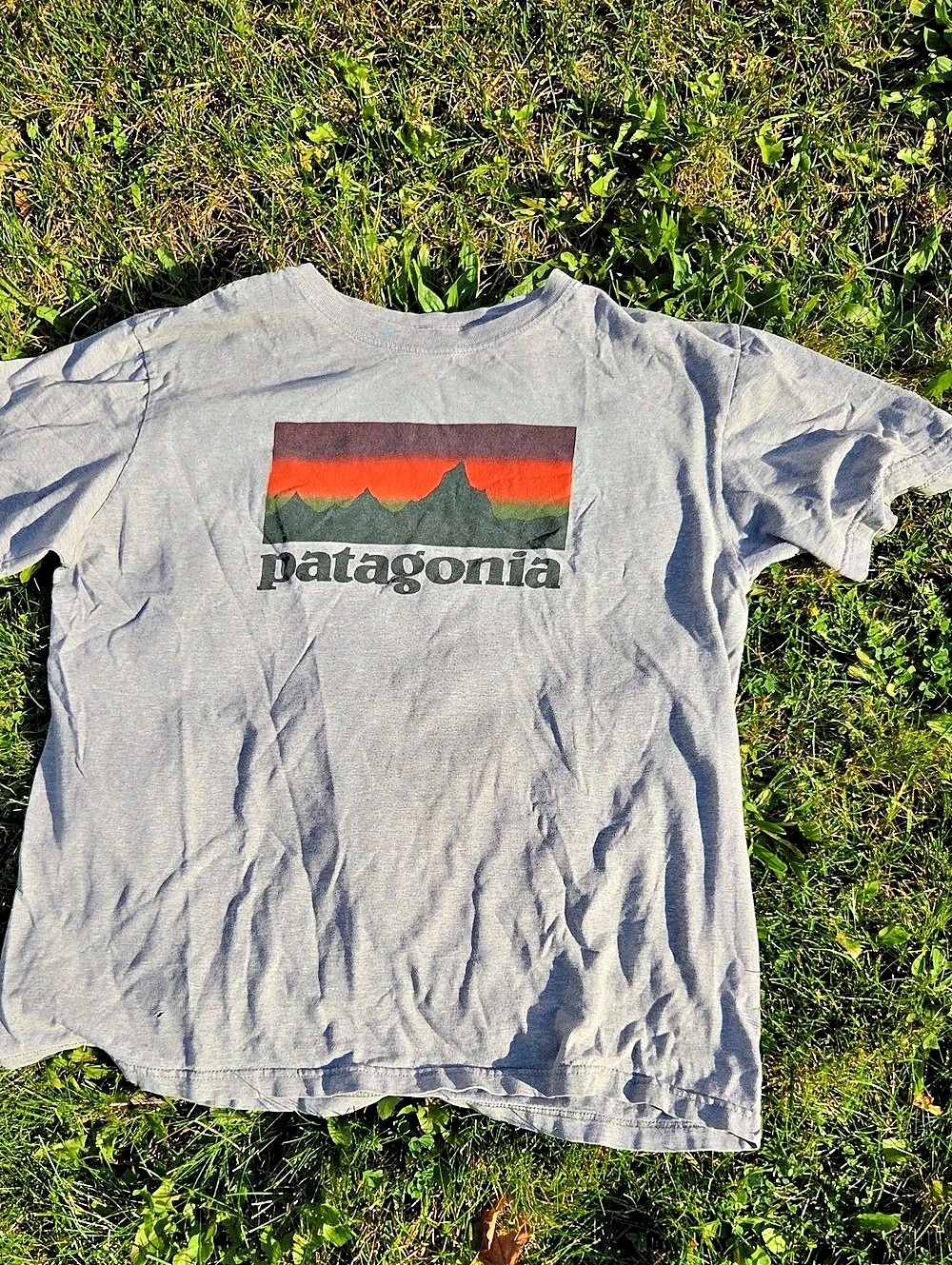 Patagonia Fitz Roy Horizons Responsibili-Tee Graphic T-Shirt in Gray & Red